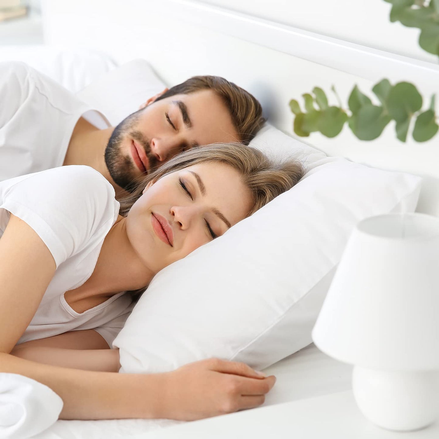 Flat Sheet Pillow Cases Set